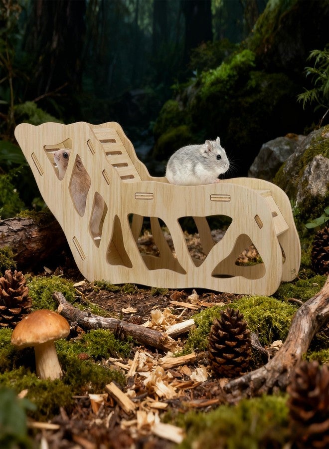 Dmnnlp 2Pcs Hamster House and Tunnel, Wooden Exploring Tunnel with Ladder, Small Animal Playground Exploring Toys for Syrian Dwarf Hamsters Gerbils Guinea Pig - Image 5
